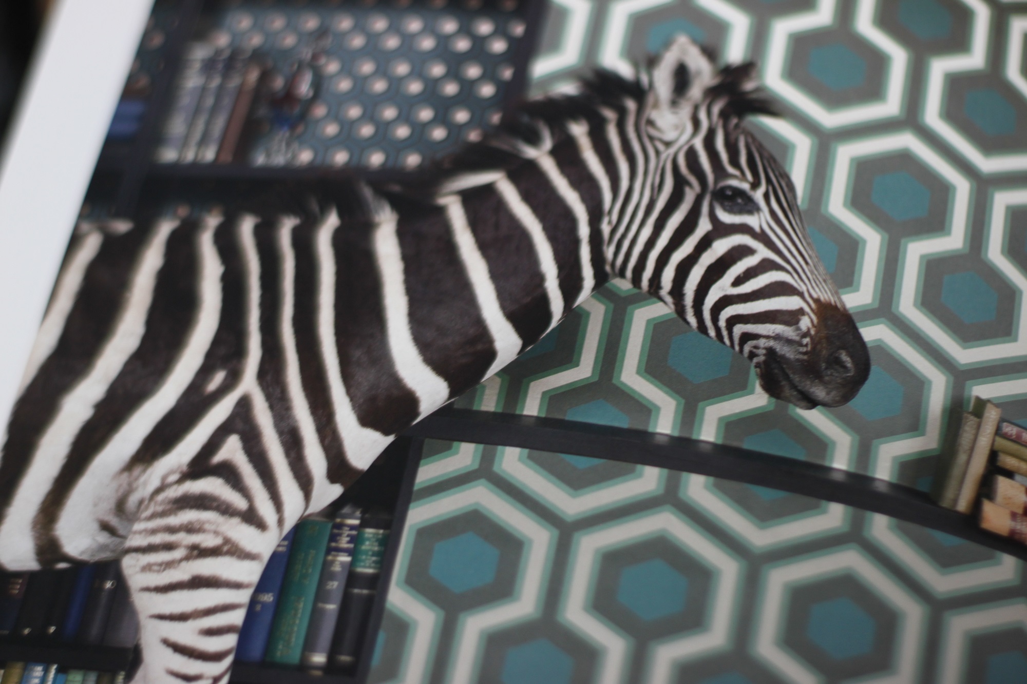 2017年は、“GEOMETRIC(幾何学柄)”が流行る？！らしいのです・・・。