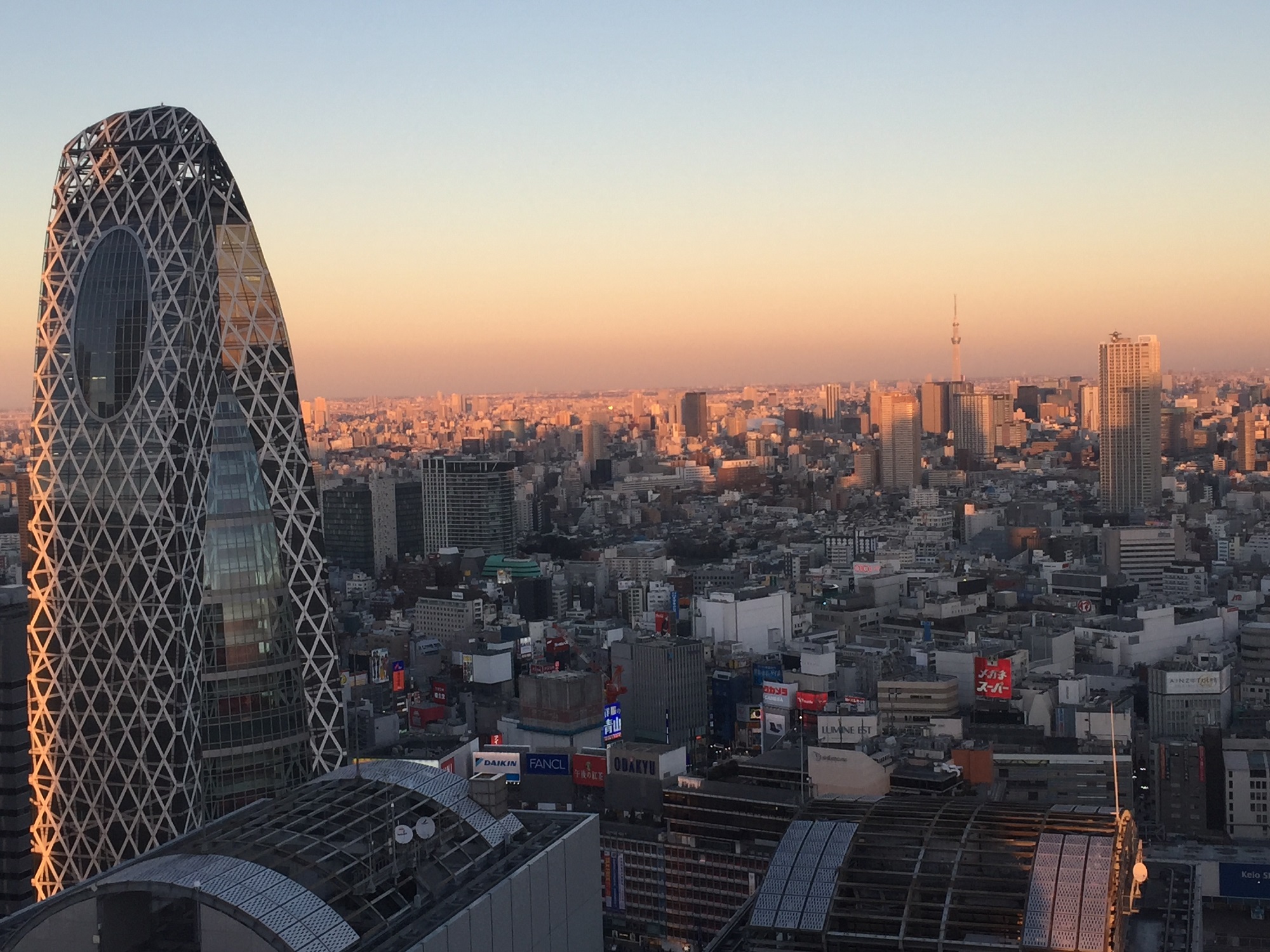 ストーリーのあるデザインは、“OKUTAデザイン”の真骨頂です☆☆☆