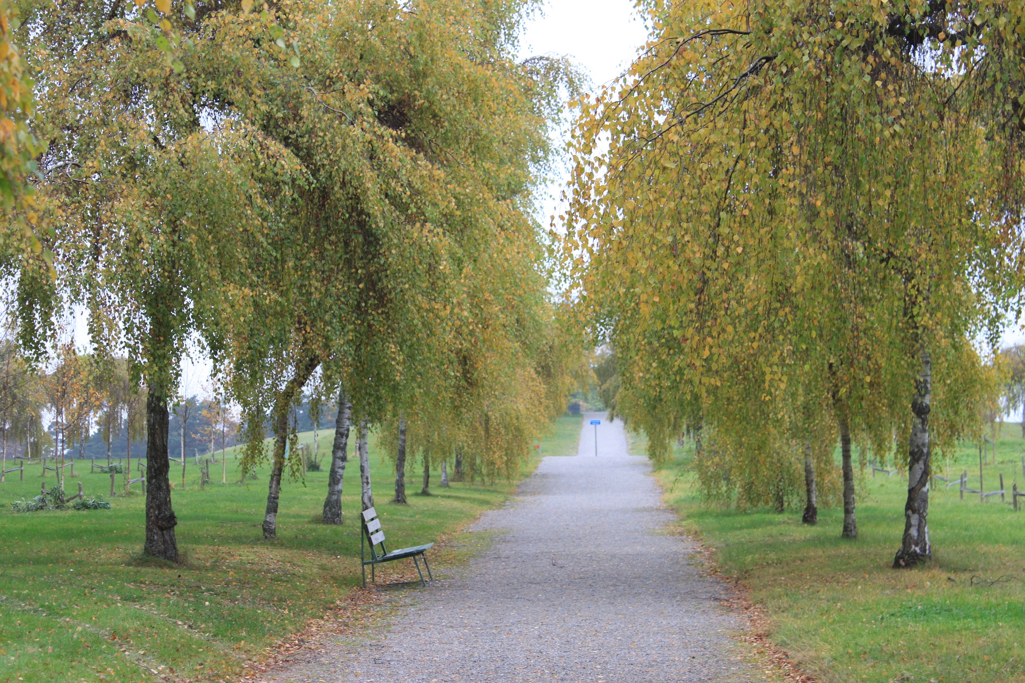 サマータイムが終わるころ・・・訪れたくなるアスプルンドの“森の墓地”