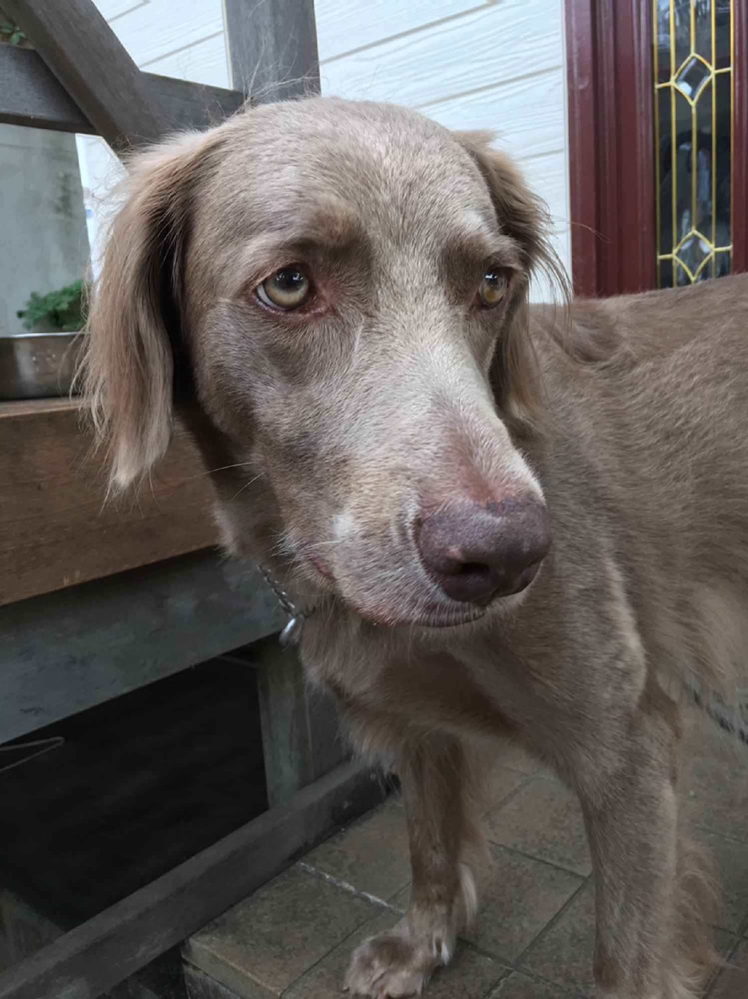 ウチのちょっぴりお茶目な大工さん☆☆☆