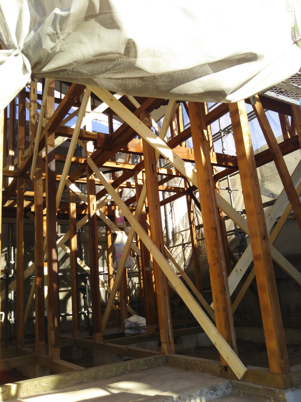 解体現場シロアリの被害