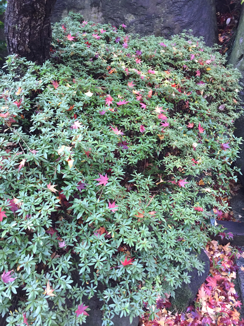 隈研吾さんの建築に触れてきました