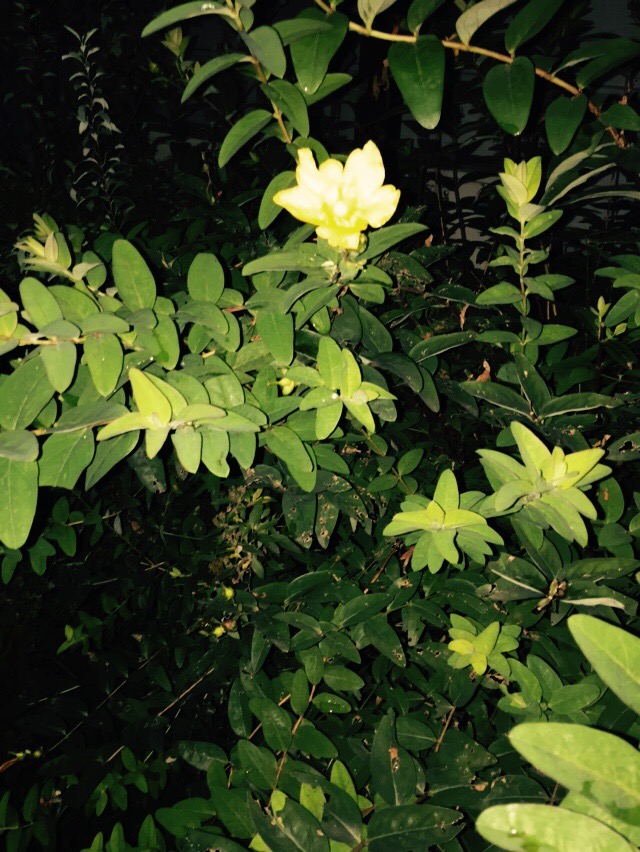 オトナ空間のゲストルーム〜Erilaisia ​​materiaaleja〜