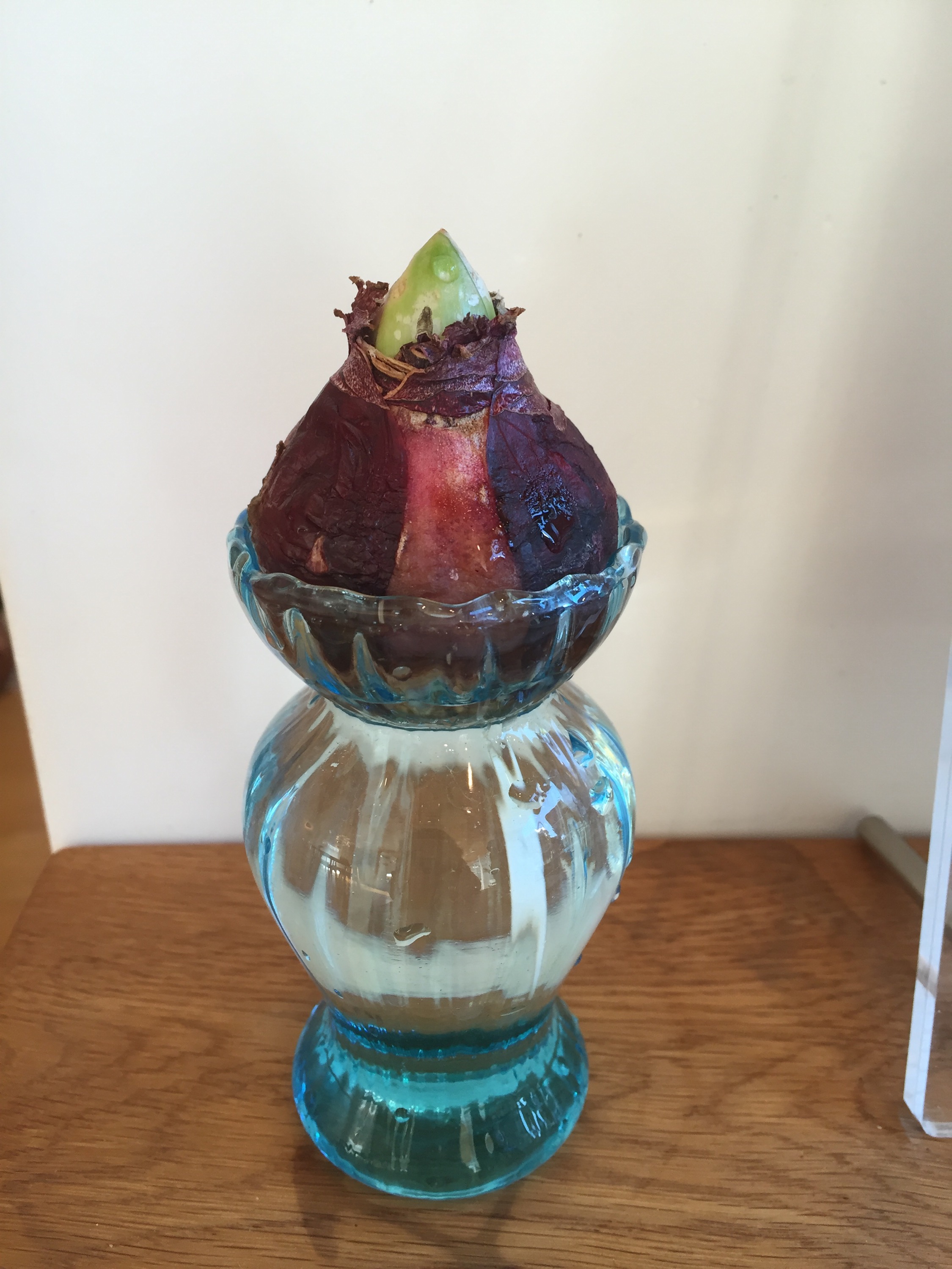 仕事納め〜Pystyin viettää hyvä vuosi!〜