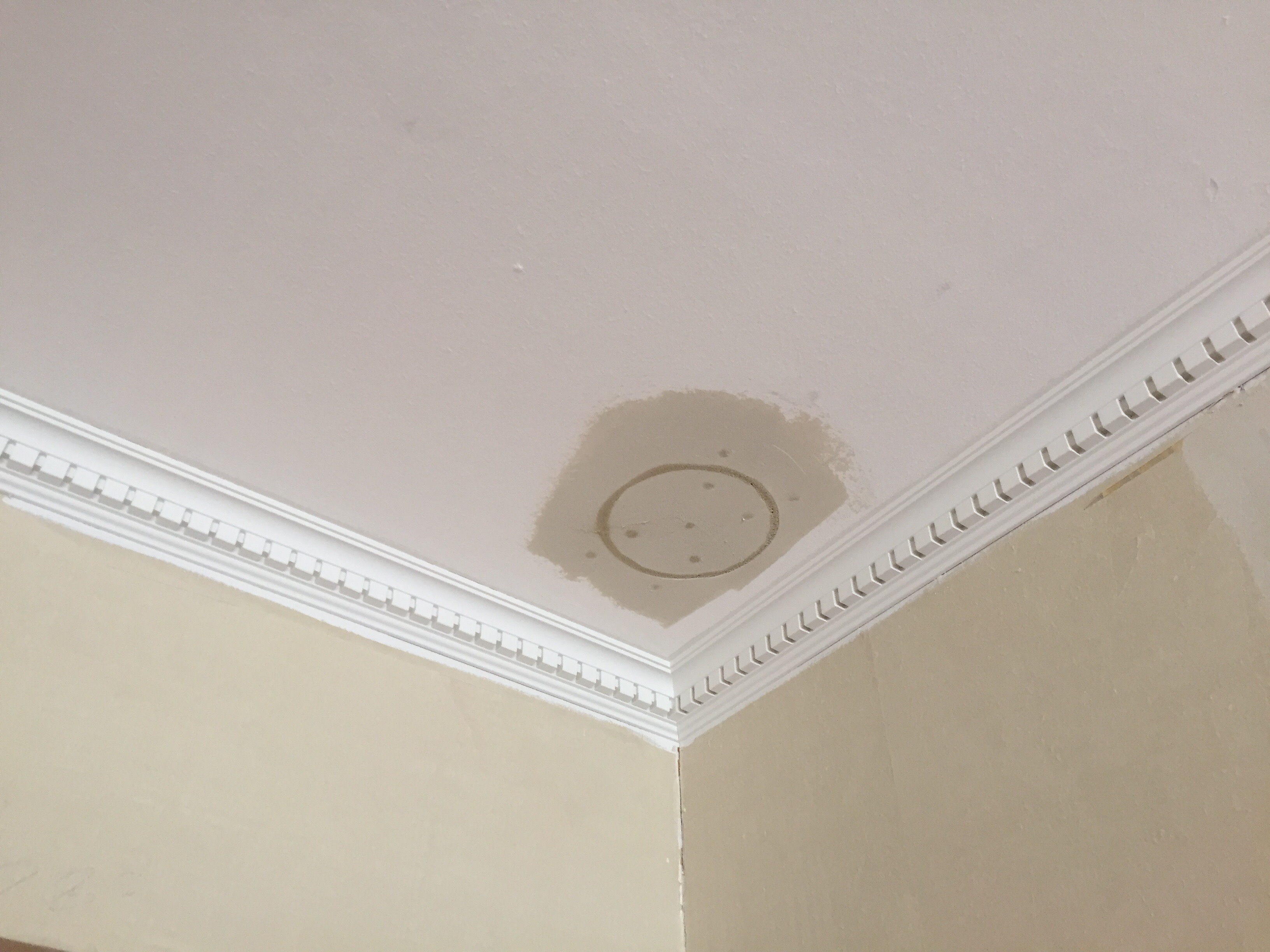 ラグジュアリー空間 アクセントにカラーや廻縁を愉しむ I010 Okuta リフォーム マンションリフォームならlohas Studio ロハススタジオ Presented By Okuta オクタ