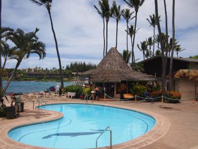 LOHAS studioの定休日Tuesday