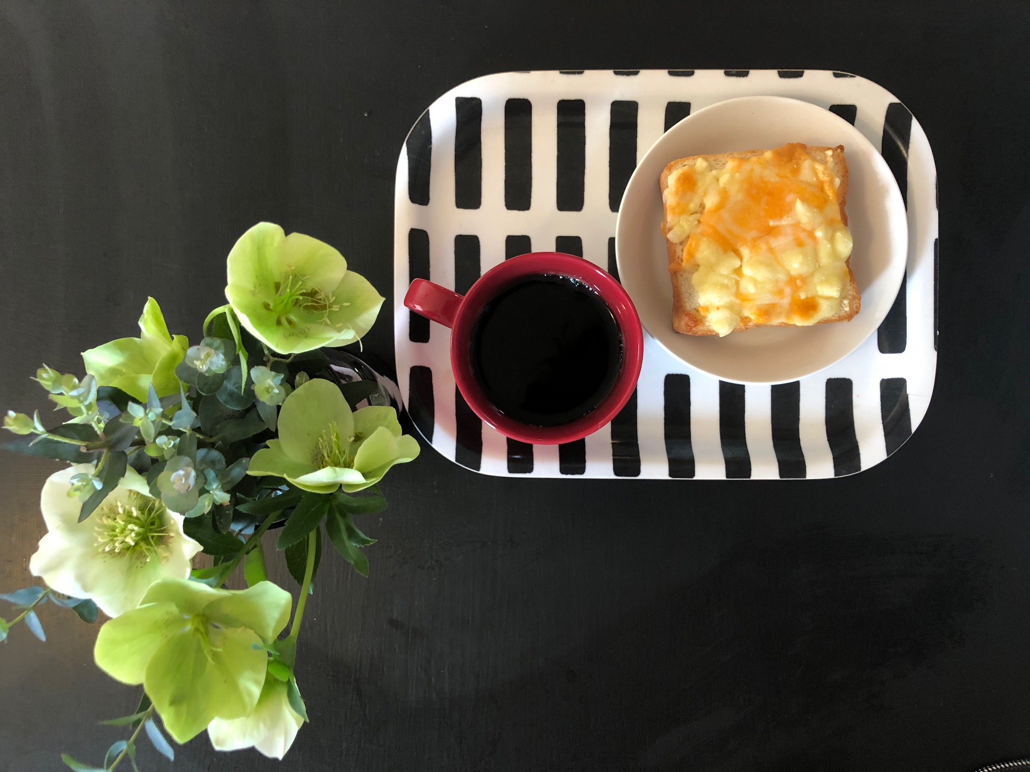 本日、LOHASstudioは臨時休業いたします！