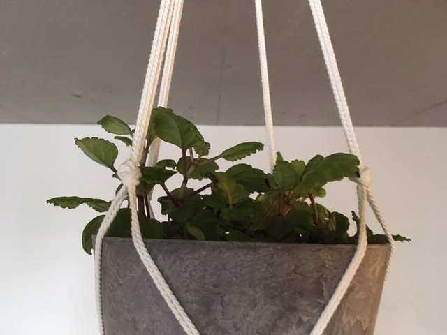 8月も残りわずかです…