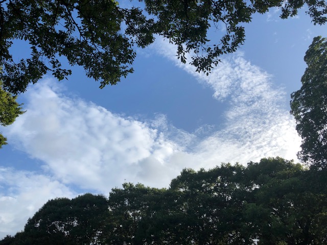 今日は連休の中日です。