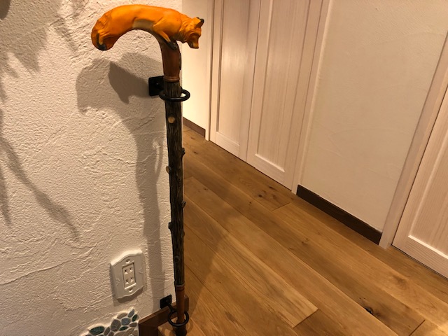 写真撮影報告～キツネハウス②～