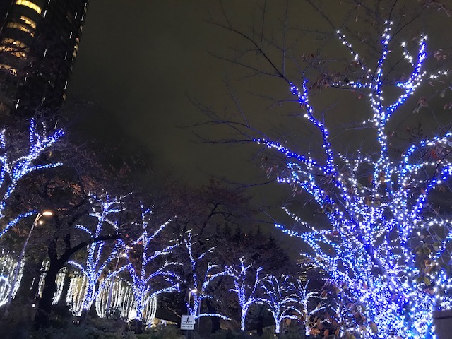 インテリアの勉強会