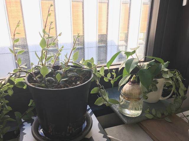 今日と明日は定休日です♪