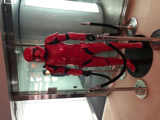 我が家にやって来た可愛い春