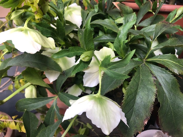 2月最後の定休日