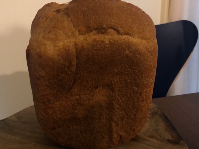 今日はLOHASstudioの定休日です♪