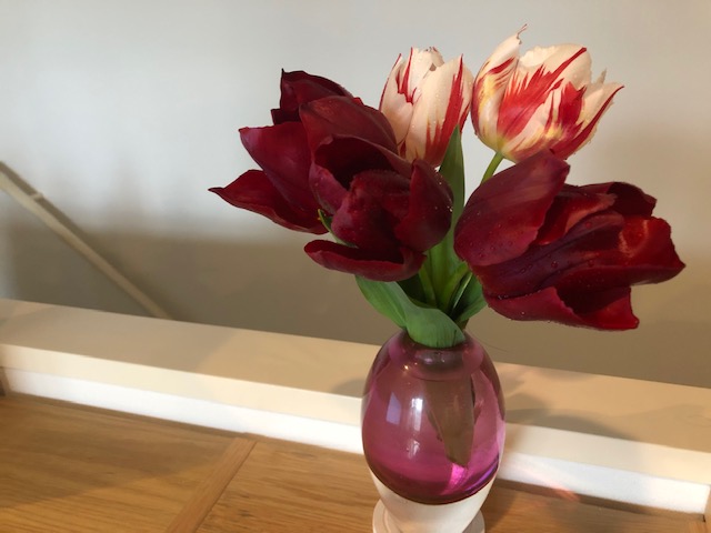 春を感じる暮らし