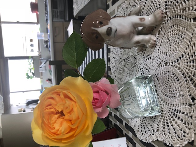 今日は水曜日です♪