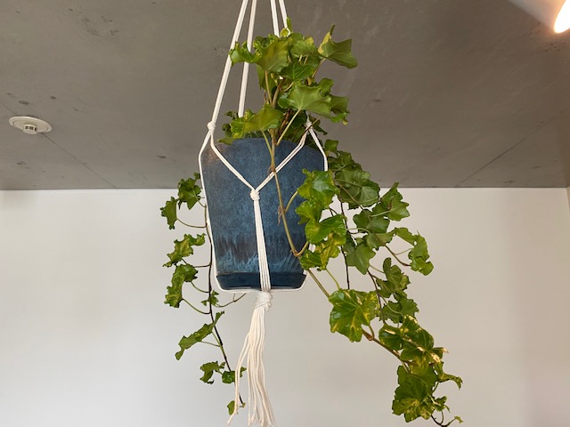 LOHASstudioの連休