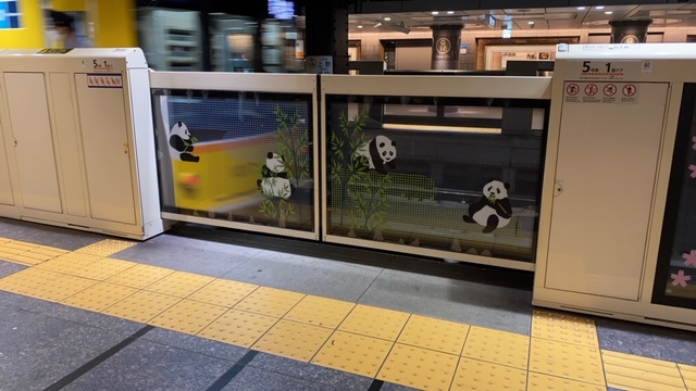 会いに行って来ました！