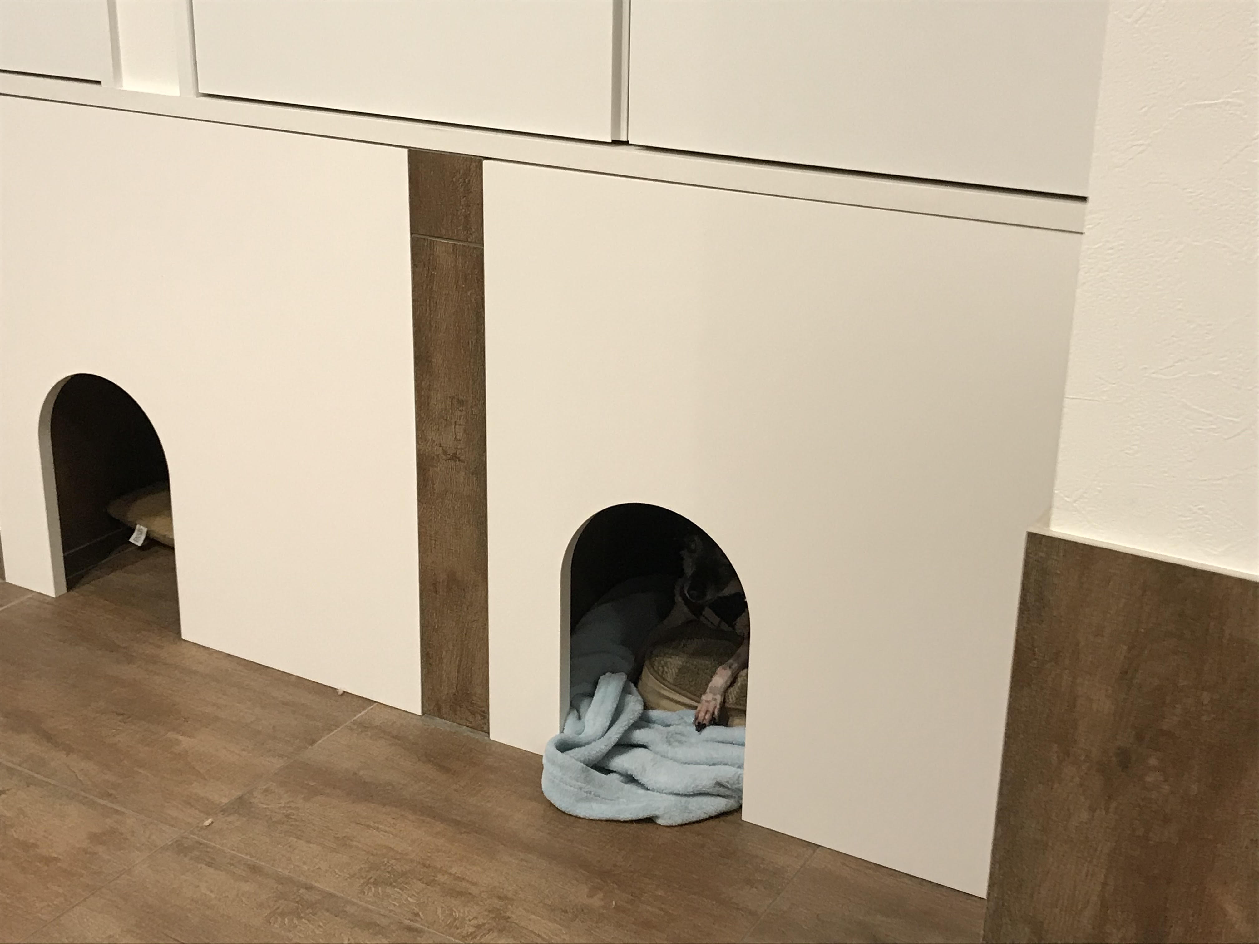 ワンちゃんハウス×３