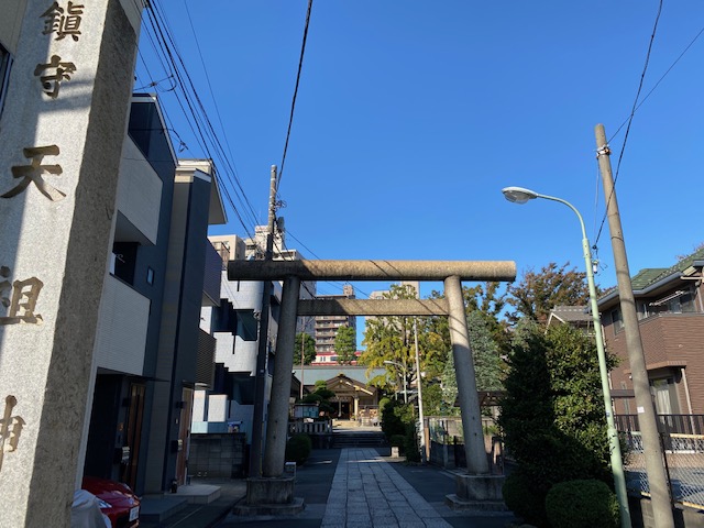 今日はLOHASstudioの定休日です！