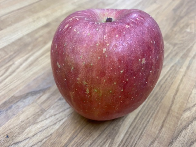 内装の打ち合わせ…