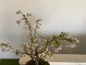 63841927023__77EC795A-0E6B-4276-95A0-34EC09CB5F62 (1)