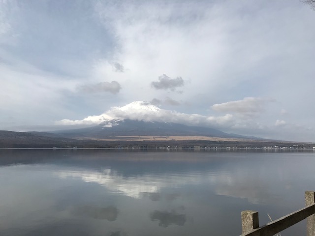 お休みをいただきました！