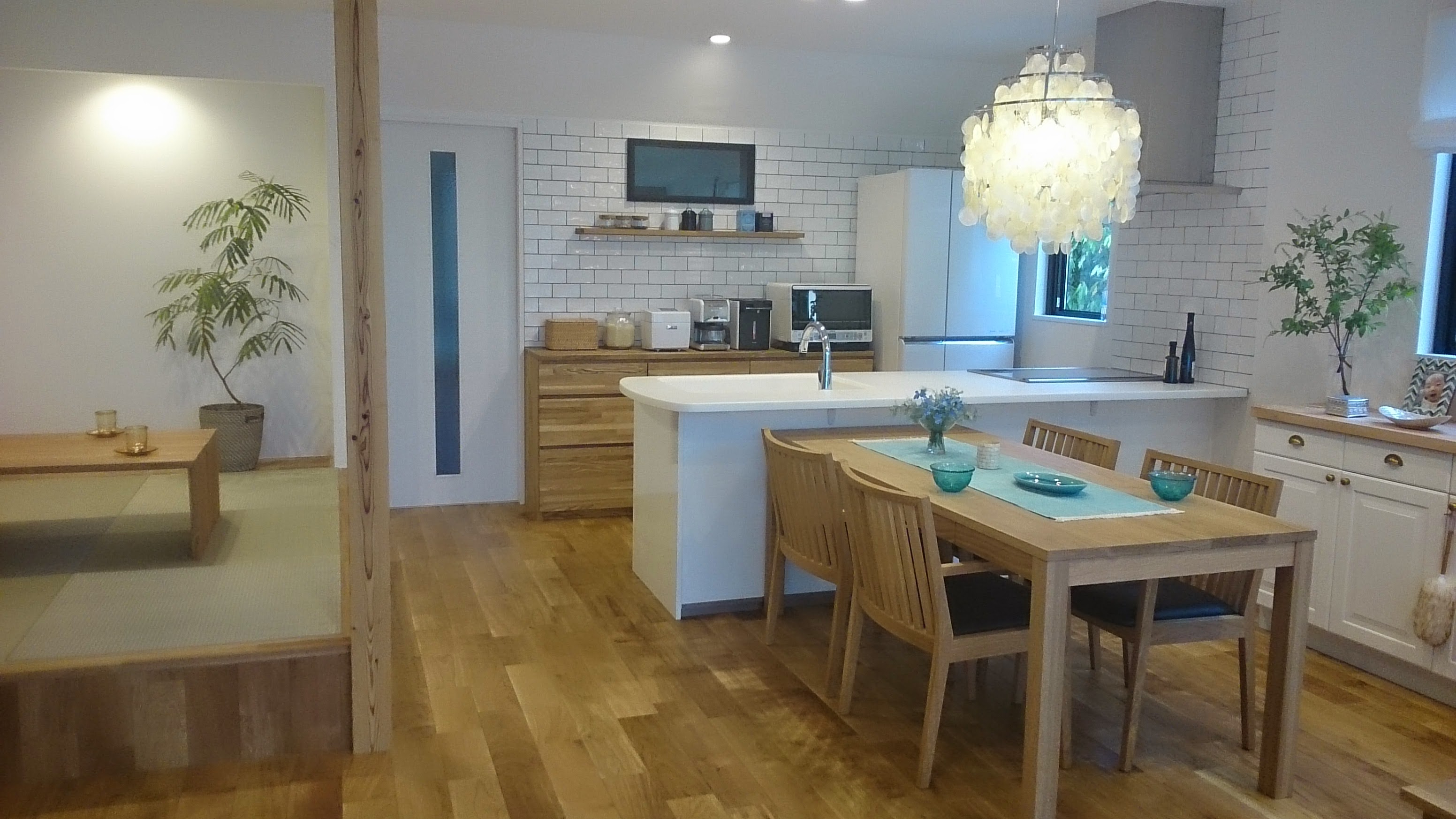 カメラマン撮影