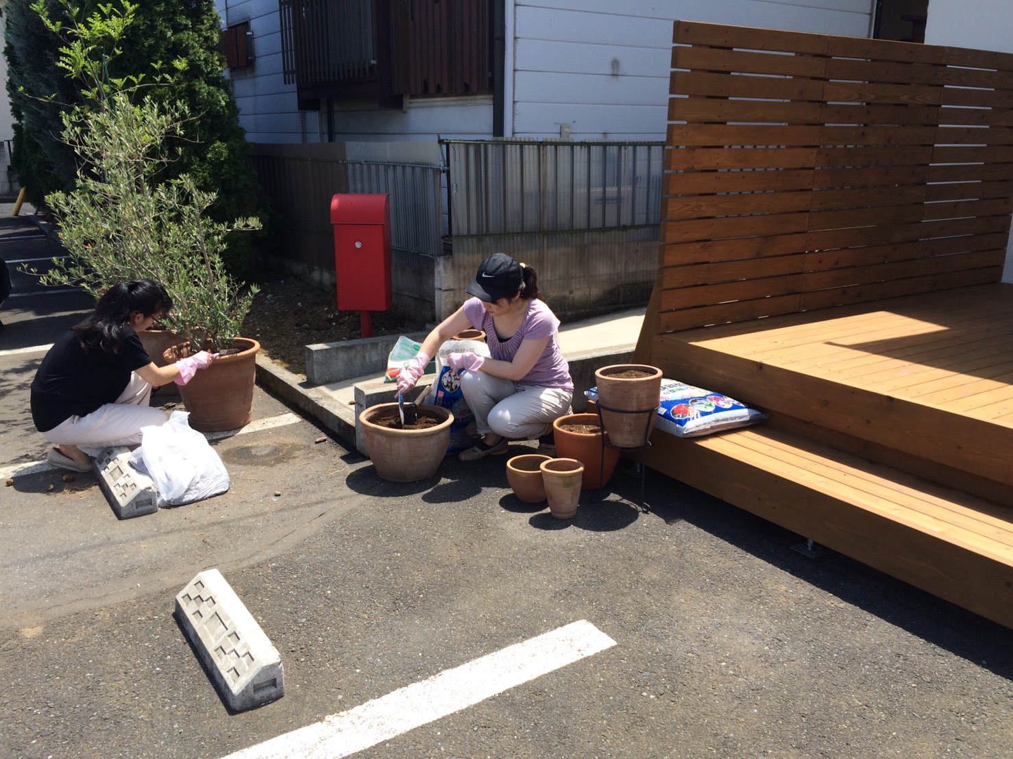 ロハススタジオ　オリーブ