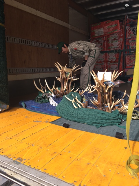 ディアホーンシャンデリア　いよいよ出荷