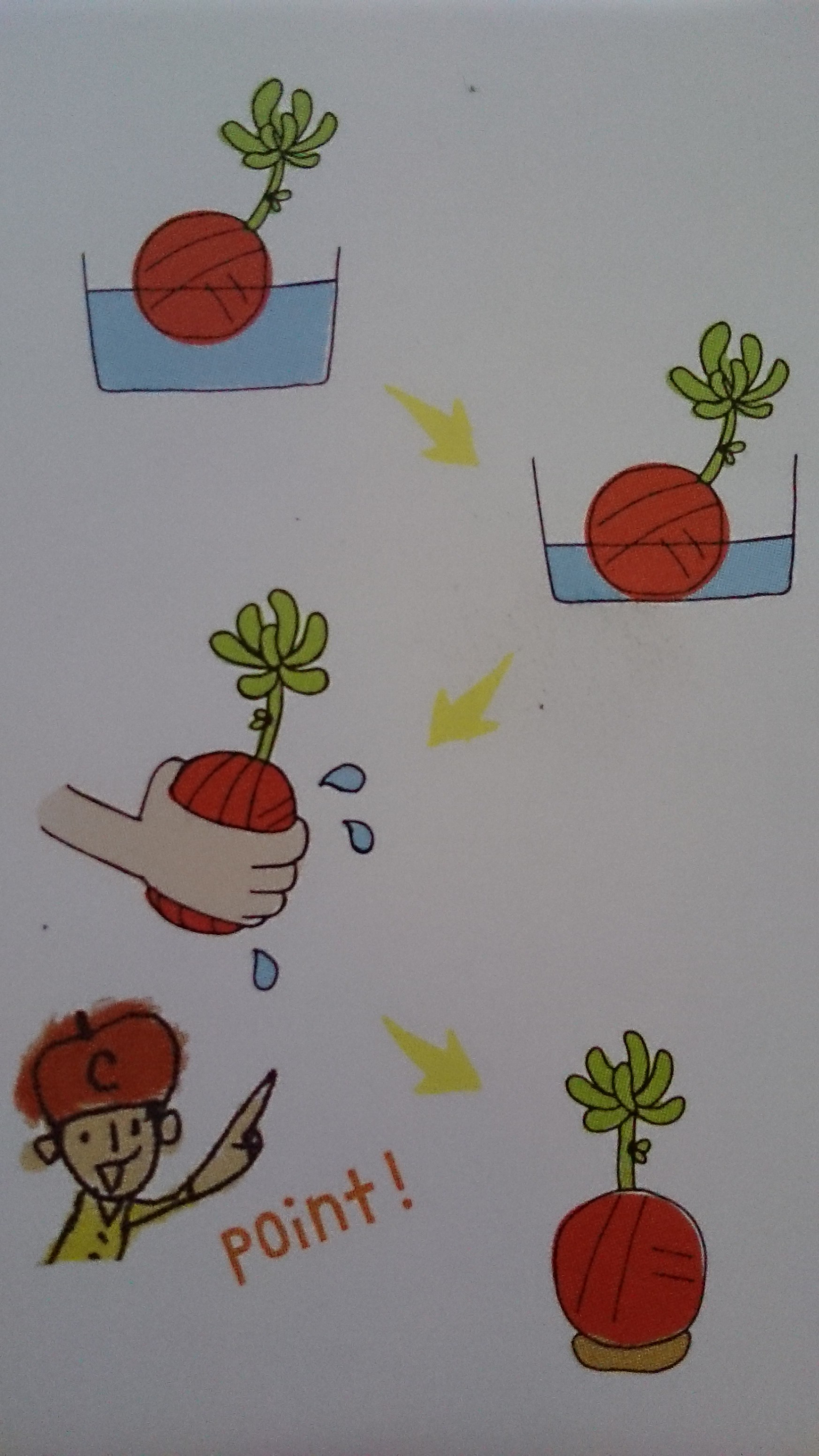 毛糸のコケ玉　~場所を選ばず飾れるインテリアグリーン~