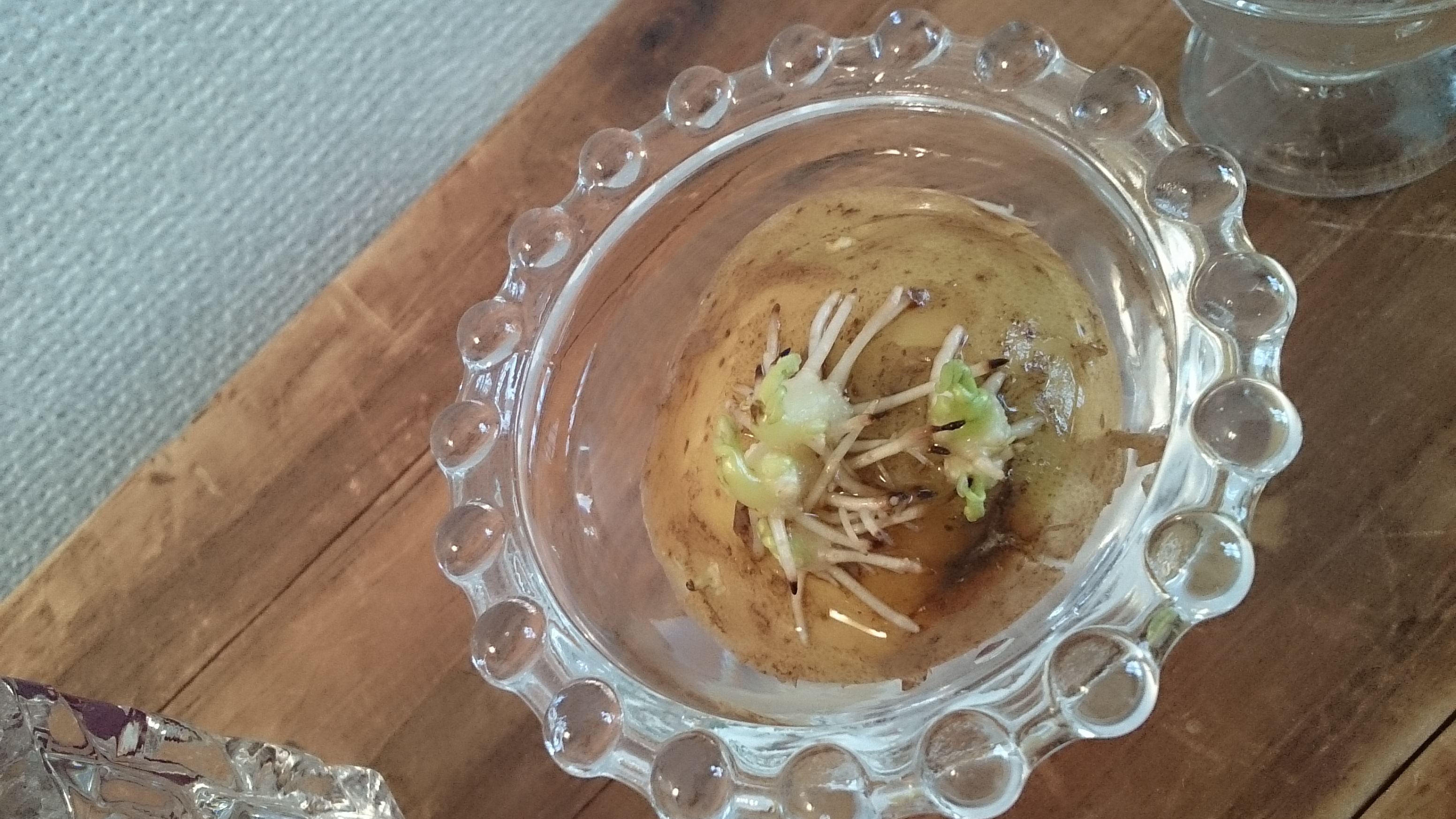 お野菜グリーン