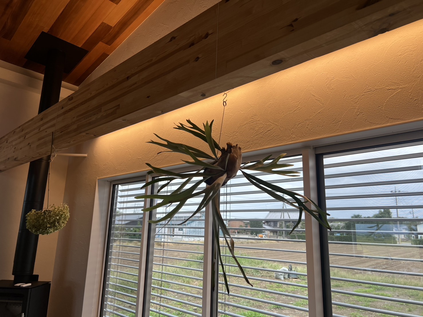 お勧めのインテリアグリーンⅠ