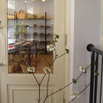 ﾌﾟﾚｾﾞﾝﾄ041003