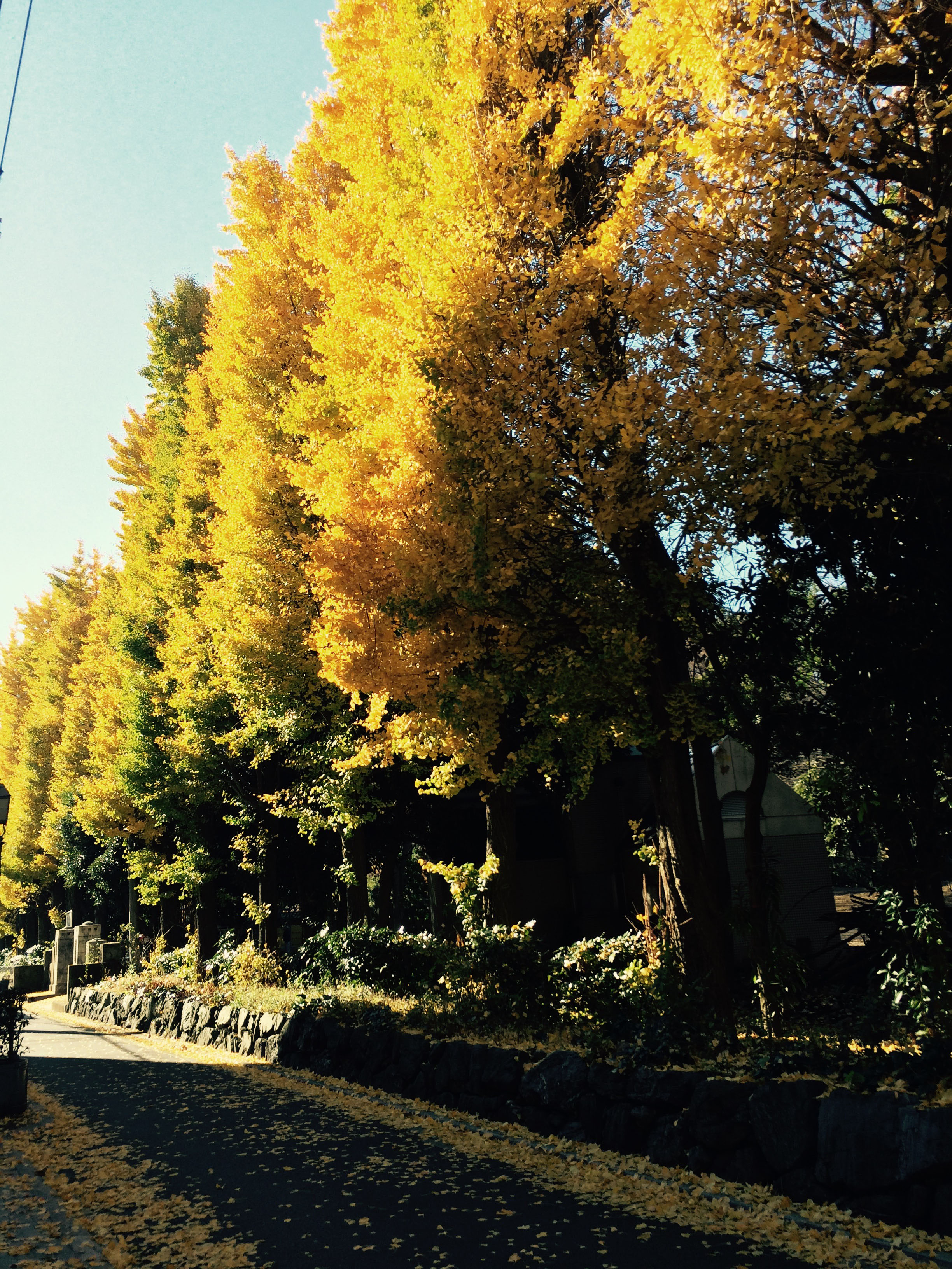 ちょっと遠回りして発見。