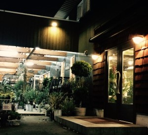 スタジオグリーン032203