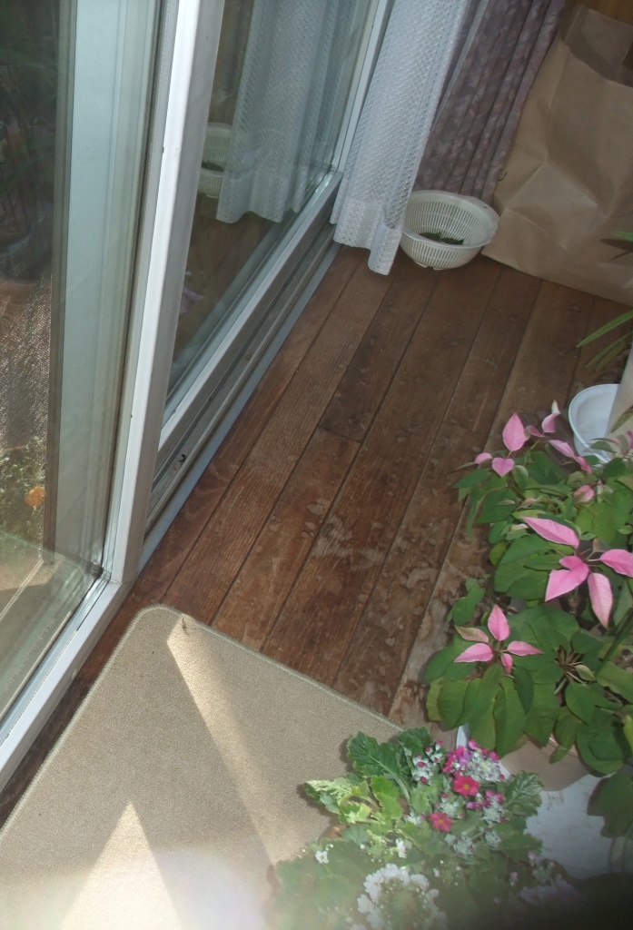 無垢フローリングのサンディング