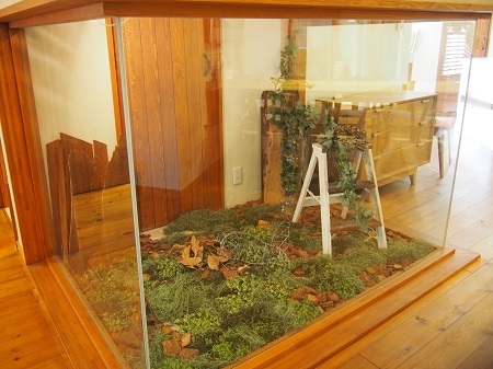 スタジオディスプレイ