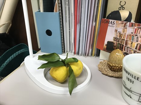 冬至といえば。。。