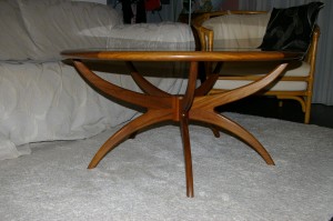 ｽﾊﾟｲﾀﾞｰﾃｰﾌﾞﾙ (3)