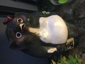 お休みの昼下がり