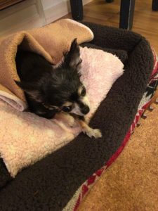 DEC7232E-FA85-42C6-9786-74E352445083