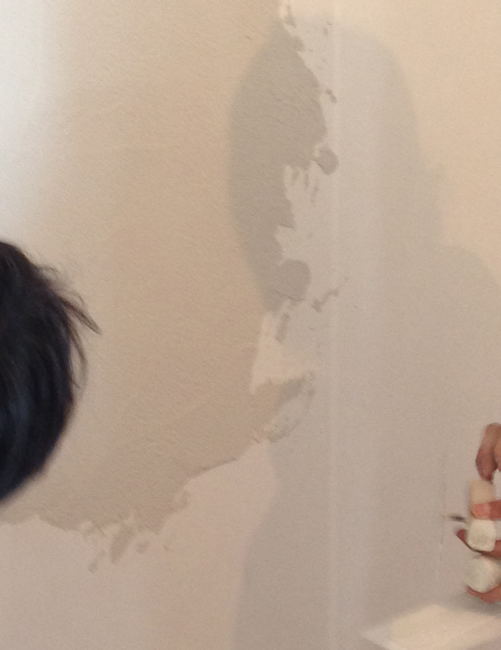 珪藻土のパターンを現地で確認