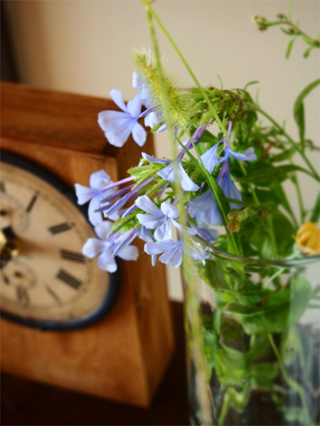 涼をとる～フラワーアレンジメント