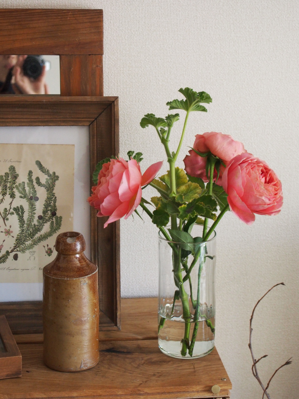 今日の花＊20200429