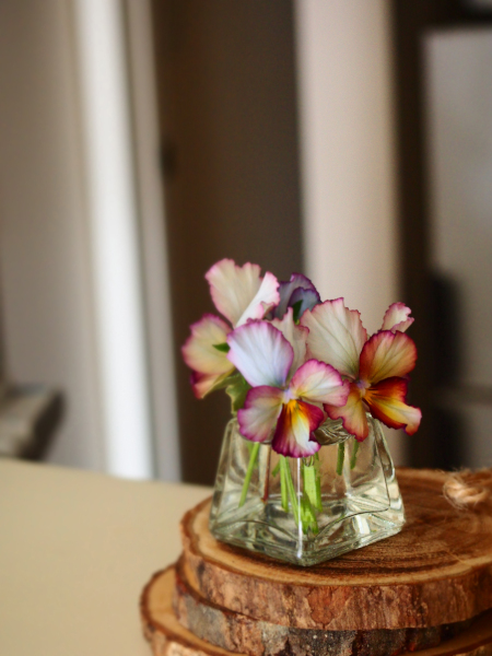 今日の花＊20200502