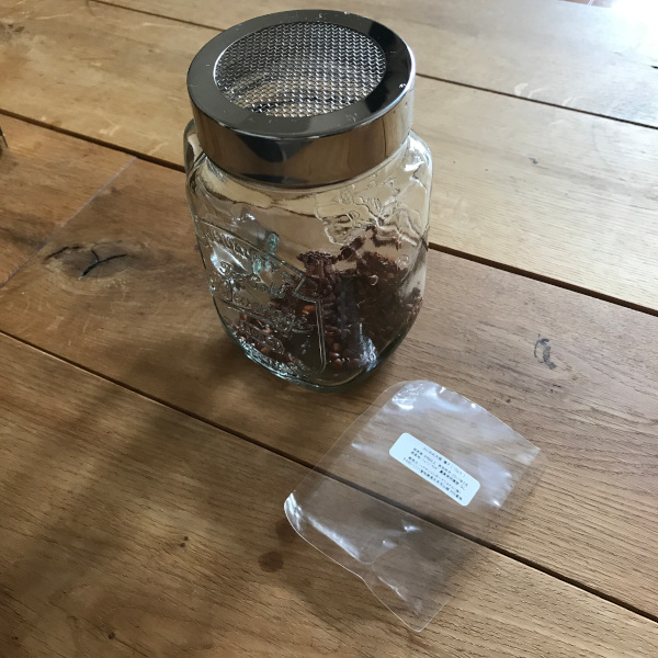 今日の花＊20200503-2