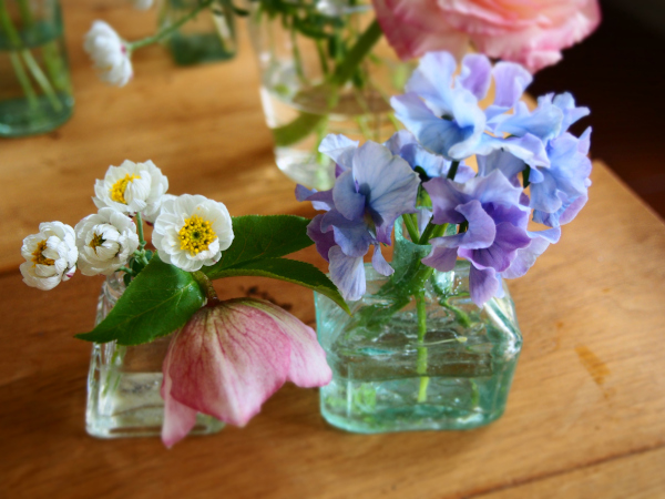 今日の花＊20200501