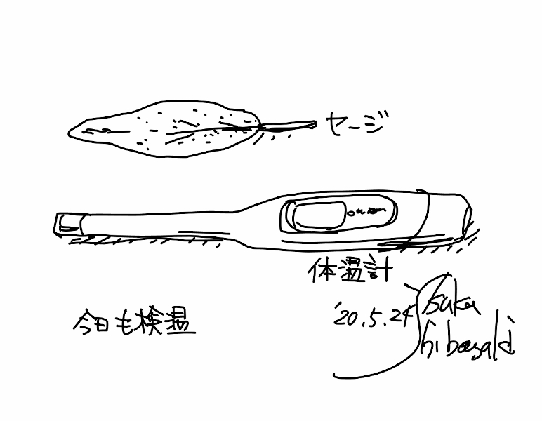 今日のスケッチ＊20200524セージと体温計